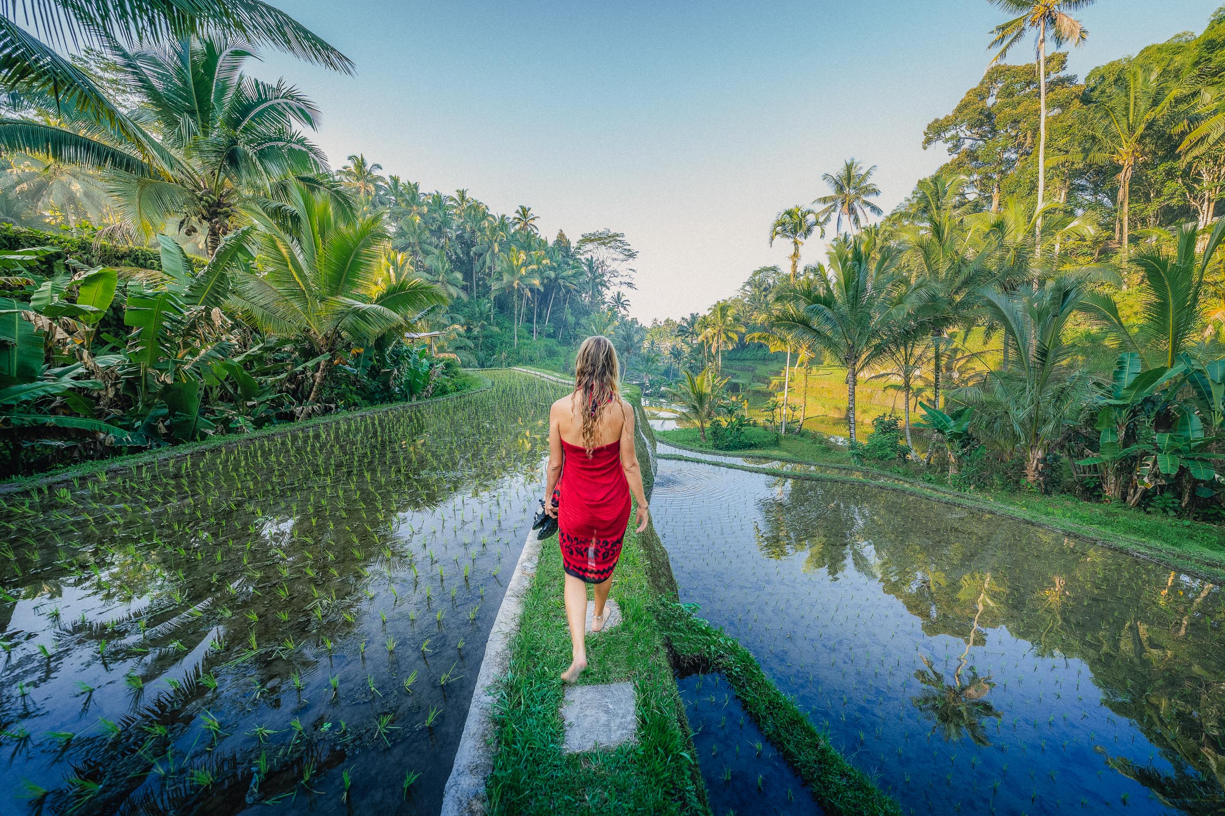 Vrouw in rijstveld Bali