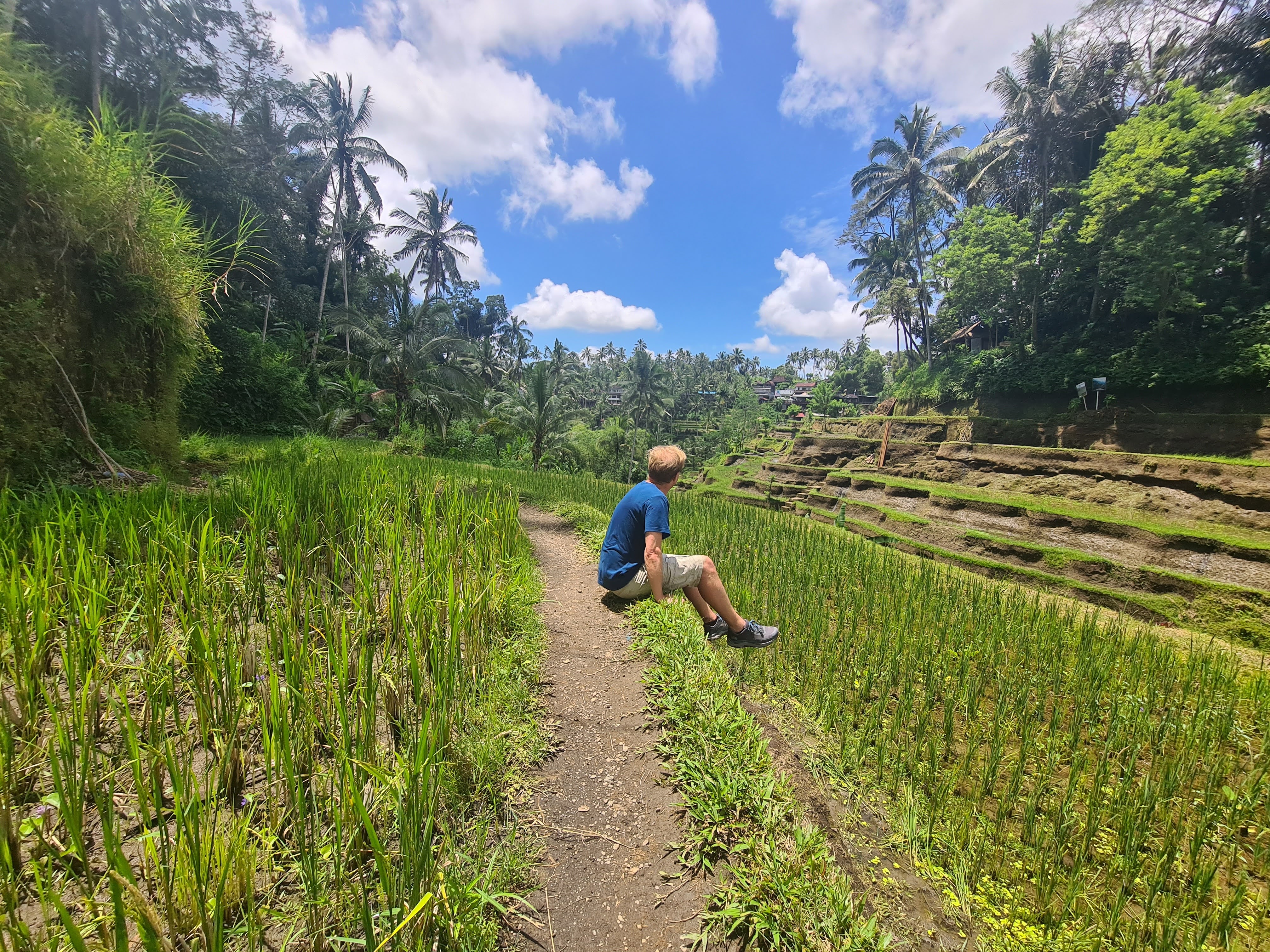 Man zittend in groen rijstveld